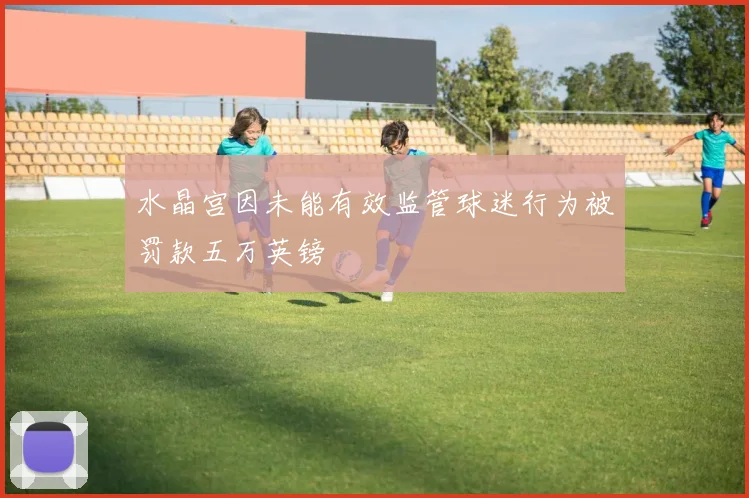 水晶宫因未能有效监管球迷行为被罚款五万英镑