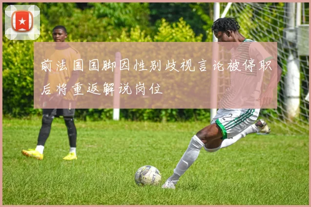 前法国国脚因性别歧视言论被停职后将重返解说岗位