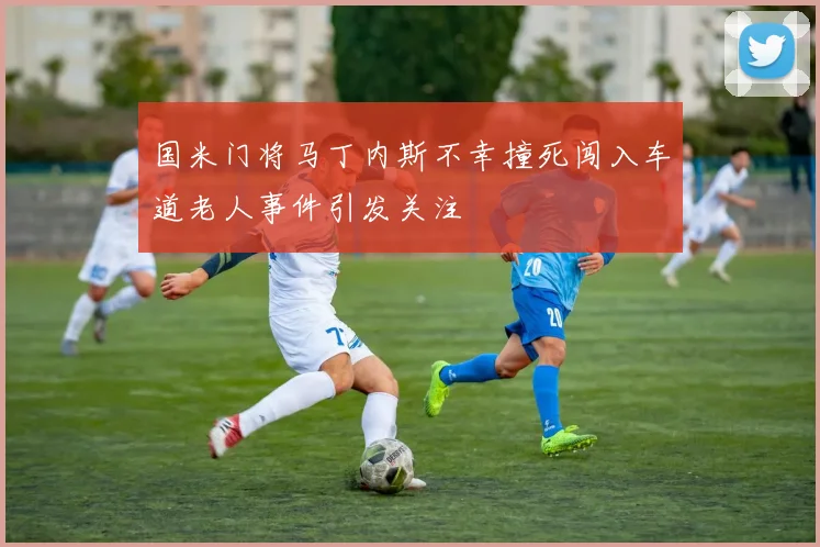 国米门将马丁内斯不幸撞死闯入车道老人事件引发关注