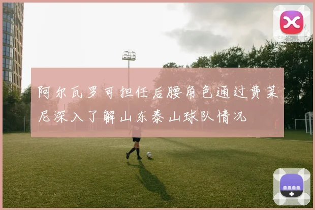 阿尔瓦罗可担任后腰角色通过费莱尼深入了解山东泰山球队情况